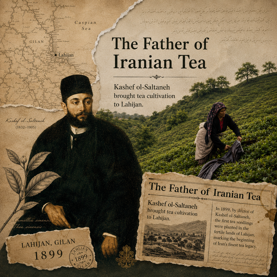 The Story of Persian Black Tea: From Lahijan to Silk Sahel
