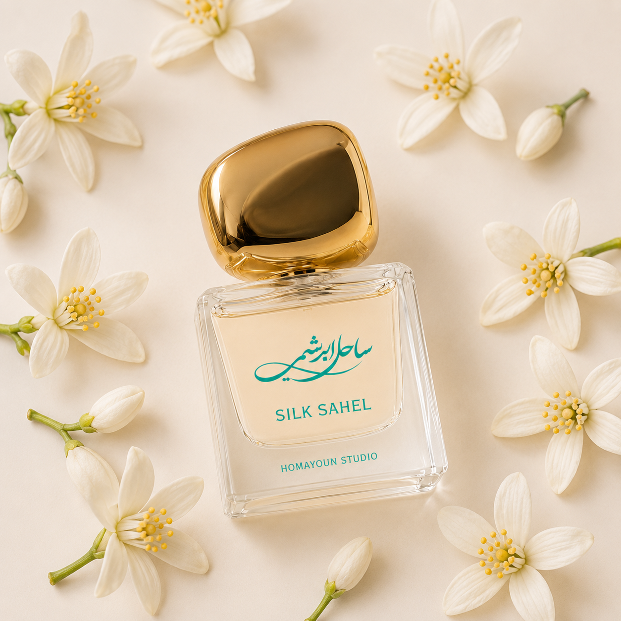 Silk Sahel